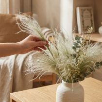gjenstander Tørkede blomster deco fjær gress tørt gress natur 50g
