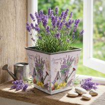 gjenstander Plantepotte lavendelmotiv, firkantet pyntekrukke, cachepotte i plast H13cm B13,5cm