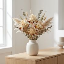 gjenstander Leucospermum 1-3 Bland krem 100 hoder