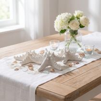 gjenstander Sjøstjernedekorasjon stor tørket hvit piggpigg sjøstjerne 15-18cm 10 stk.
