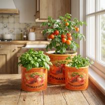 gjenstander Tomatplantepottesett, dekorative blomsterpotter i keramikk for kjøkken og retrodekor, 14 cm, sett med 3