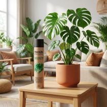 gjenstander Oasis Floralife Leaf Shine Leaf Shine Spray 750ml
