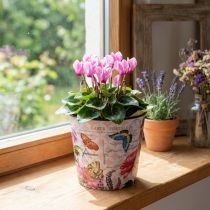 gjenstander Blomsterpotte blomsterpotte plast blomsterpotte Ø15,5 × H13cm