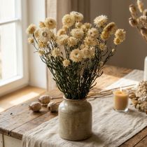 gjenstander Tørr dekorasjon halmblomstkrem helichrysum tørket 50cm 30g