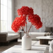 gjenstander Dekorativ hortensia: konserverte tørkede blomster for elegant interiørdesign