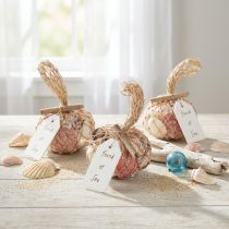 gjenstander Maritim dekorativ skjellblanding i et nett, fargerik, 3,5–6 cm, 300 g × 3 stk.
