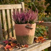 gjenstander Betong blomsterpotteplanter terrakottapotte Ø18cm H17cm