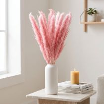 gjenstander Tørt gress rosa dekorativt sivgress pampas 70 cm 10 stk