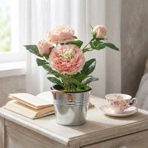 gjenstander Dekorativ rose i potte, romantiske silkeblomster, rosa peon