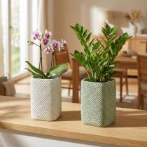 gjenstander Plantekasse keramisk hvit grønn relieffnetting 14x14cm H21,5cm 2stk