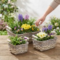 gjenstander Plantekurv med håndtak, firkantet kurvskål, naturlig plantekasse for planting shabby chic vasket hvit L30/25,5/21 cm H12/11/10 cm sett med 3
