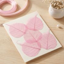 gjenstander Skjelettblader, rosa dekorative pileblader 5-9 cm, 200 stk - Ideell for gratulasjonskort og gjør-det-selv