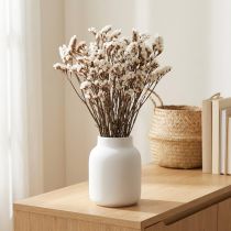 gjenstander Tørkede blomster av hvit havlavendel (Limonium), 60 cm, 35 g