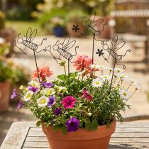 gjenstander Blomsterplugg metall bi dekorasjon svart 8,5cm 4 stk