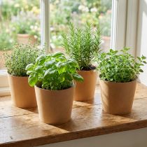 gjenstander Plantekar, blomsterpotte, papirpottepotte natur Ø15cm H13cm 4stk