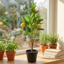 gjenstander Kunstig sitrontre i potte, middelhavsdekorasjon, kunstig sitronplante, H58cm