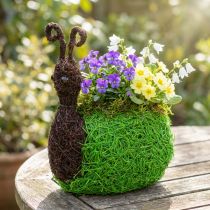 gjenstander Plantekasse Snegl Vine Naturlig, Grønn 21x14cm H26cm