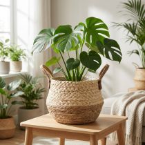 gjenstander Kurv med håndtak, blomsterkasse, sjøgress, jute, Ø23 cm H20 cm, bohemsk chic, urban jungeldekor
