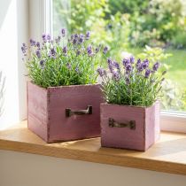 gjenstander Planteskuff plantekasse tre lilla 12,5/16 cm sett med 2