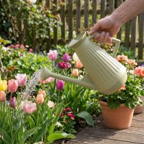 gjenstander 9L vannkanne i olivengrønn med avtakbar rosett, praktisk for hage- og blomsterstell, robust, 42 cm