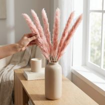 gjenstander Rosa Pampasgress Tørkede Blomster Naturlig Dekorasjon 65-75cm 6 stk