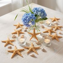 gjenstander Sjøstjerner scatter dekorasjon hjem deco mini sjøstjerne natur 2-4cm 50p