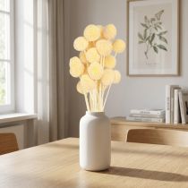 gjenstander Craspedia tørkede blomster kremdekorasjon 20 stk 50-55 cm