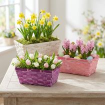 gjenstander Sponkurv firkantet lilla/hvit/rosa 8 stk