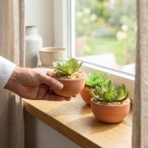 gjenstander Kunstige planter i potter kunstige sukkulenter H9cm 3stk