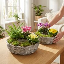 gjenstander Hvit piletreplantekasse, sett med 2, Ø25/30 cm, dekorativ for potteplanter