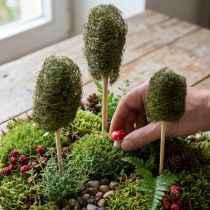 gjenstander Luffa liten agurk på pinne, mørk grønn, 5-7 cm, 25 stk