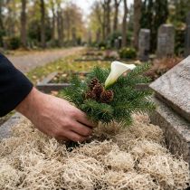 gjenstander Dekorativ mosetørket skogsmose bleket naturdekor 300g