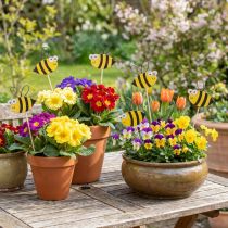 gjenstander Vårdekor blomsterplugg trebi dekorasjon 7cm 12stk