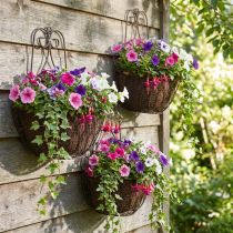 gjenstander Hengende kurvplanter metall rust utseende H30/33,5/40cm sett med 3