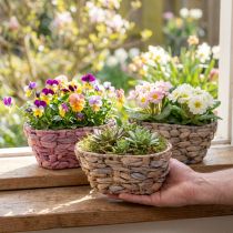 gjenstander Plantekurv sjøgresskurv vannhyasint plantekasse oval 20,5cm 3 stk