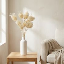 gjenstander Tørkede blomster kremfennikel bleket 45 cm bunt 10 stk