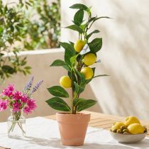gjenstander Sitrontre i potte, kunstig plante 42 cm - Kunstig middelhavsdekorasjonstre