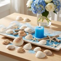 gjenstander Skjell dekorasjonsskjell hvite brune hjerteskjell 5-7cm 300g
