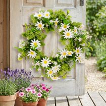 gjenstander Daisy Krans Hvit Grønn Kunstig Ø28cm H9cm