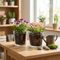 gjenstander Blomsterpotte glass plantekasse gjennomsiktig Ø11cm H10,5cm 2stk
