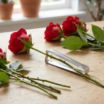 gjenstander Rose dethorner klassisk sølv dethorner for roser 13cm