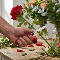 gjenstander Blomsterhandlerkniv Victorinox