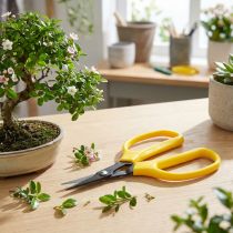 gjenstander Oasis bonsai og tangsaks 15,5 cm