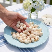 gjenstander Blåskjell Umachi 500 g