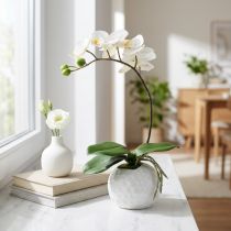 gjenstander Phalaenopsis krem i keramikkgryte 33cm