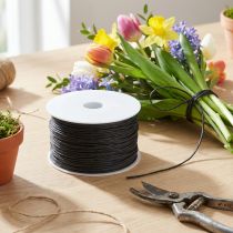 gjenstander Papirsnor wire pakket Ø2mm 100m sort