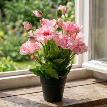 gjenstander Orientalsk valmue, kunstig blomst, valmue i rosa gryte