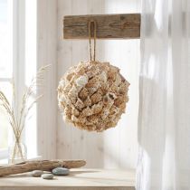 gjenstander Skalldekorasjon ball havsnegler Maritim dekor for oppheng Ø18cm