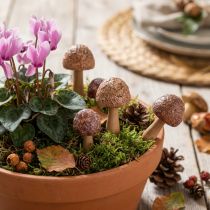 gjenstander Blomsterstaker, soppdesign, dekorative trestaker, brune, Ø2,5 cm, 8 stk.