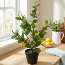gjenstander Kunstig sitrontre i potte, 65 cm, dekorativ plante, kunstig plante